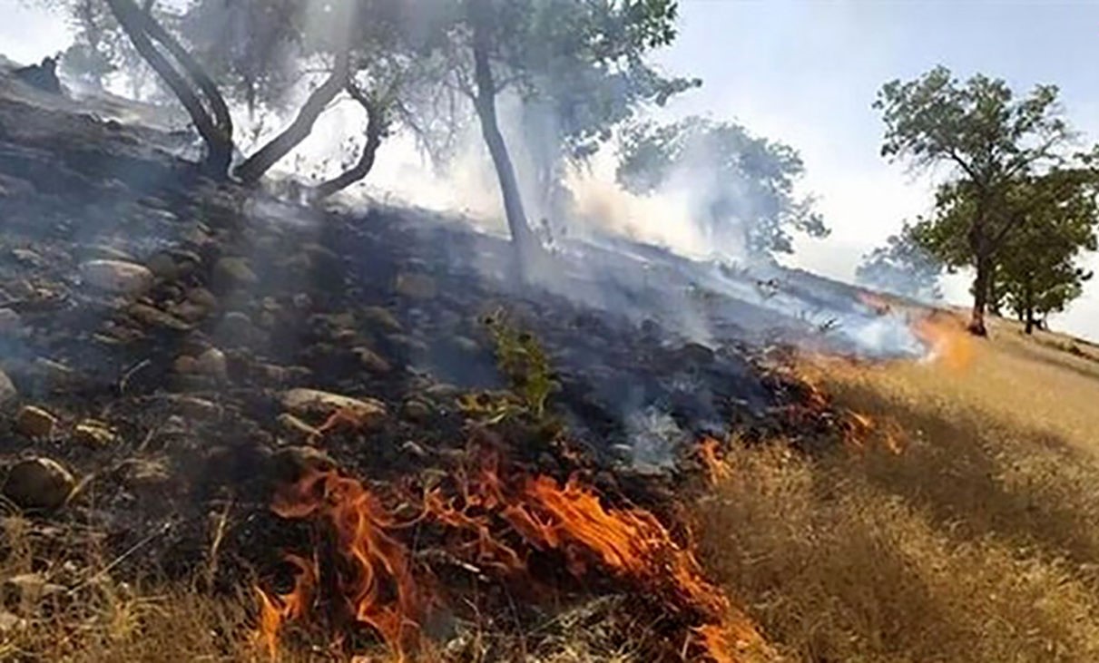 13 هکتار از مزارع گندم دالاهو و گیلانغرب در آتش سوخت