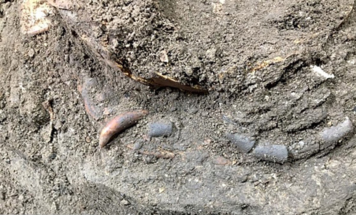 کشف اسکلت 12 هزار ساله کودک مازندرانی