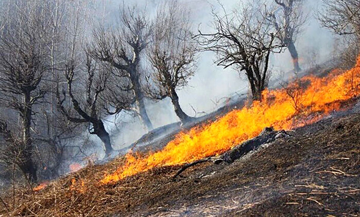 265هکتار از مراتع و جنگلهای آذربایجان غربی در آتش سوخت