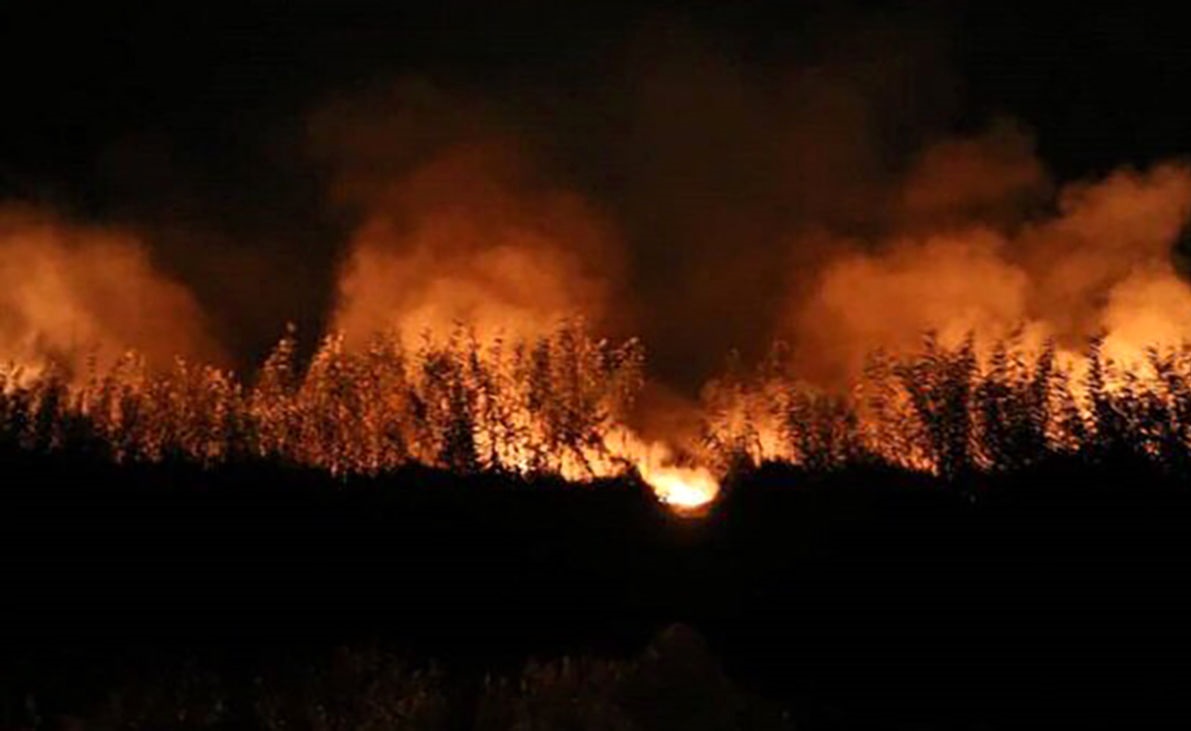 آتش‌سوزی در 2 منطقه از منابع طبیعی لالی