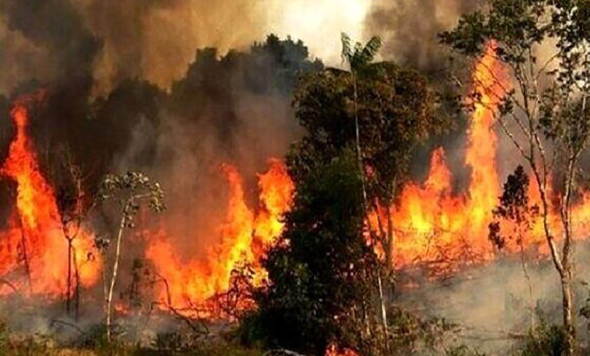 آتش‌سوزی در 35 هکتار از مراتع سمیرم