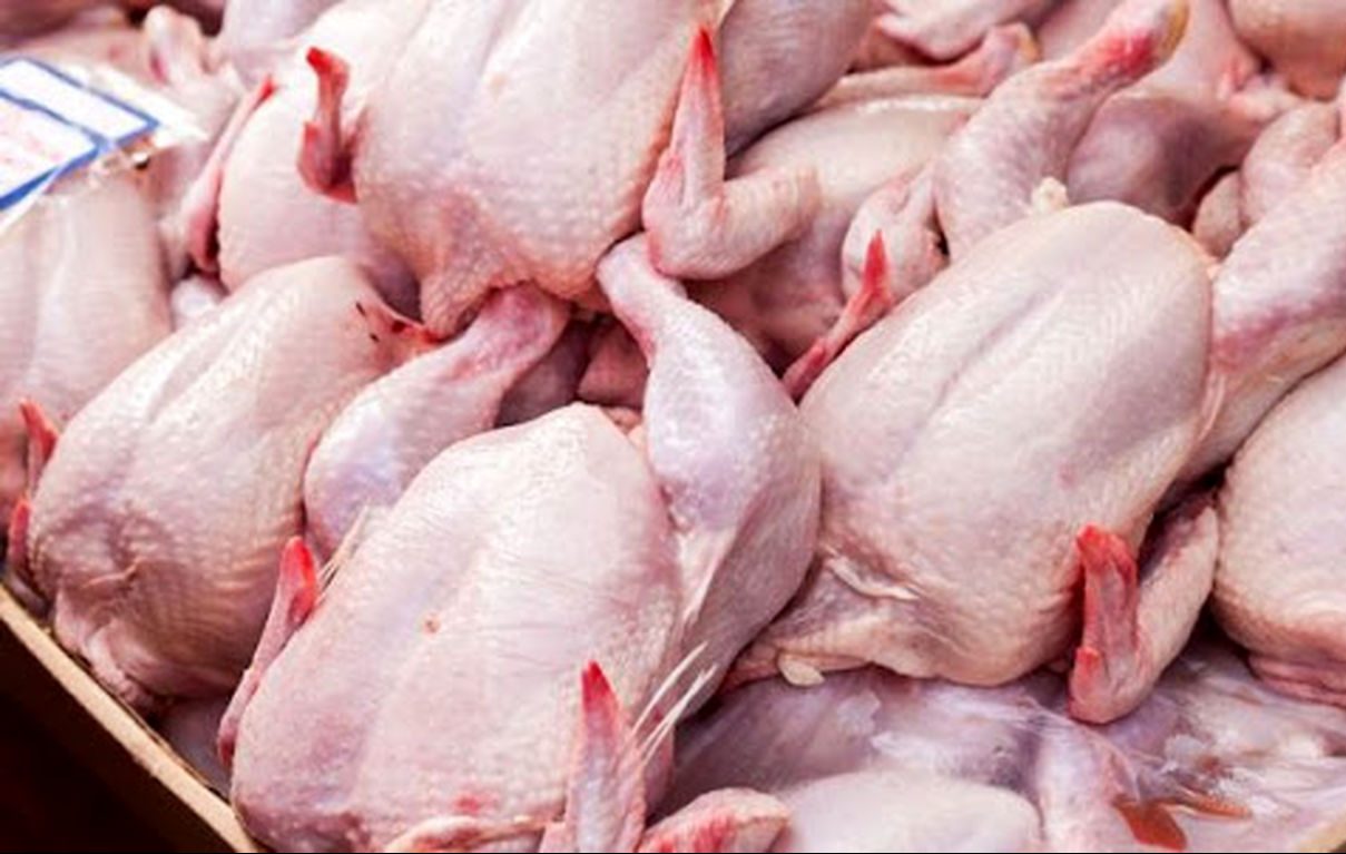 کشف 21 تن مرغ خارج از شبکه توزیع در بروجرد