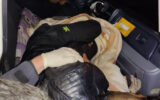 مرگ 2 مرد تهرانی در ماشین