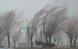 افزایش دما و تداوم وزش باد در تهران