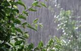 بارش باران و وزش باد در نقاط مختلف کشور