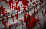 حمله خونین یک گرگ به 6 نفر در اردستان