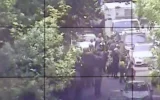 سقوط درخت در میدان تجریش