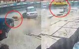 جزئیات حادثه خونین حمله یک سگ در شهریار