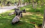 مرگ هولناک یک کودک بر اثر سقوط مجسمه در پارک