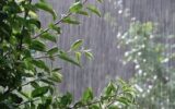 تشدید بارش‌ باران در روزهای پایانی تابستان