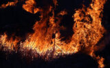 آتش سوزی دردناک در نوشهر