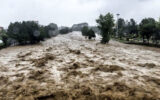 باران رگباری رودخانه پلنگ آبرود را طغیانی کرد