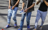 دستگیری متهمان سرقت به عنف احشام