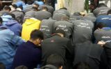 شبیخون پلیس به 61 سارق خشن در تهران