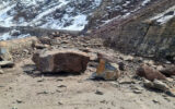 یک در ریزش صخره در کرمان