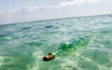مرگ ۴ ماهیگیر سریلانکایی پس از نوشیدن محتویات بطری