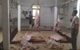 کشف کشتارگاه احشام حرام گوشت