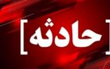حمله گرگ به خانه روستایی