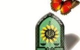 تصمیم به مرگ دختر 15 ساله در اردبیل