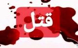 پلاک پژو ۲۰۷ راز جنایت وحشتناک را فاش کرد!