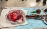شکار خرس در منطقه شکار ممنوع