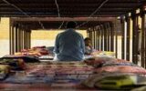 قتل در کمپ ترک اعتیاد